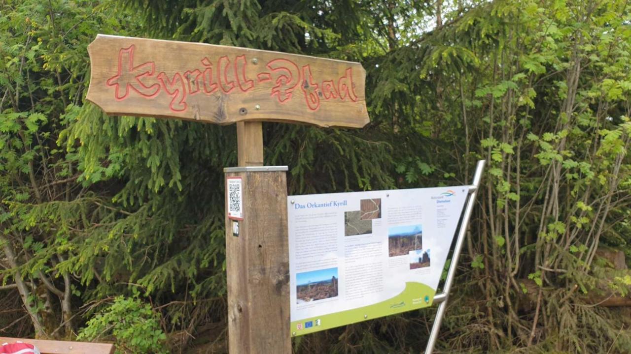 Ferienwohnung Mohnwiese Und Blumenwiese Willingen  Kültér fotó
